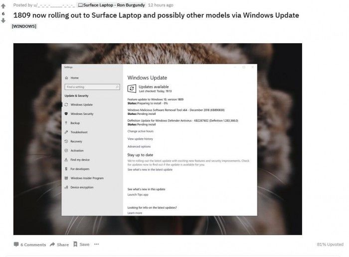微软开始向更多用户推送Windows 10十月更新